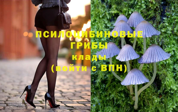 не бодяженный Арсеньев