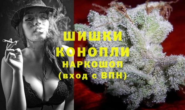 спиды Аркадак