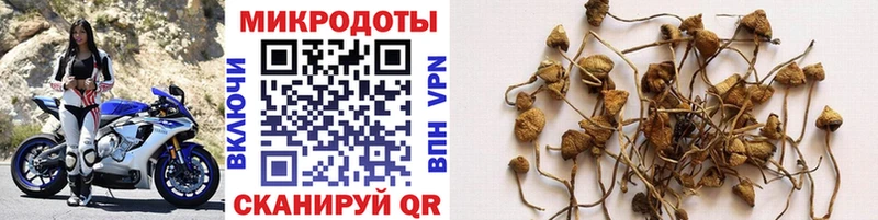 Галлюциногенные грибы Magic Shrooms  Междуреченск 